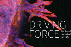 Driving force